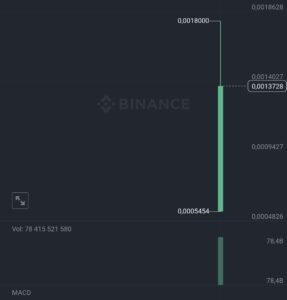 Старт торгов DOGS на binance 26 августа