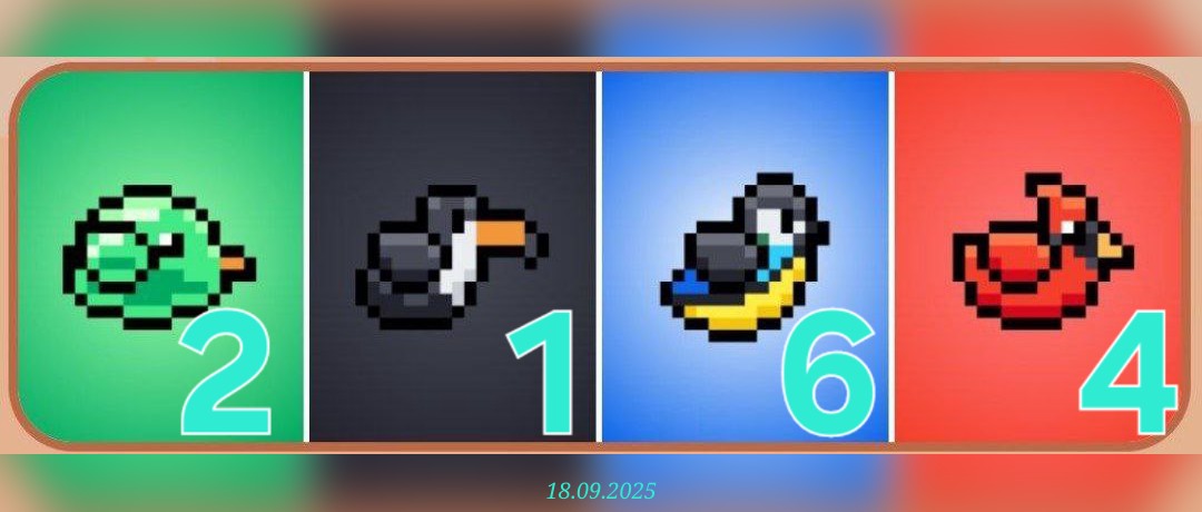 изображение для 🟢 #Bird Комбо 18.09