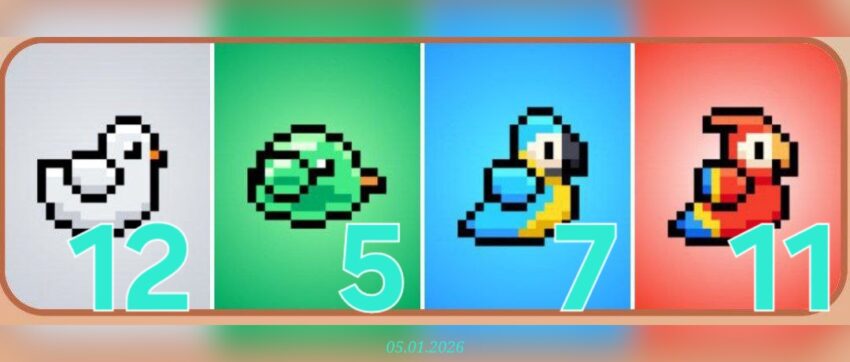 изображение для 🟢 #Bird Комбо 05.01