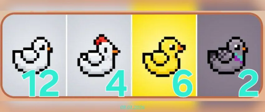 изображение для 🟢 #Bird Комбо 08.01