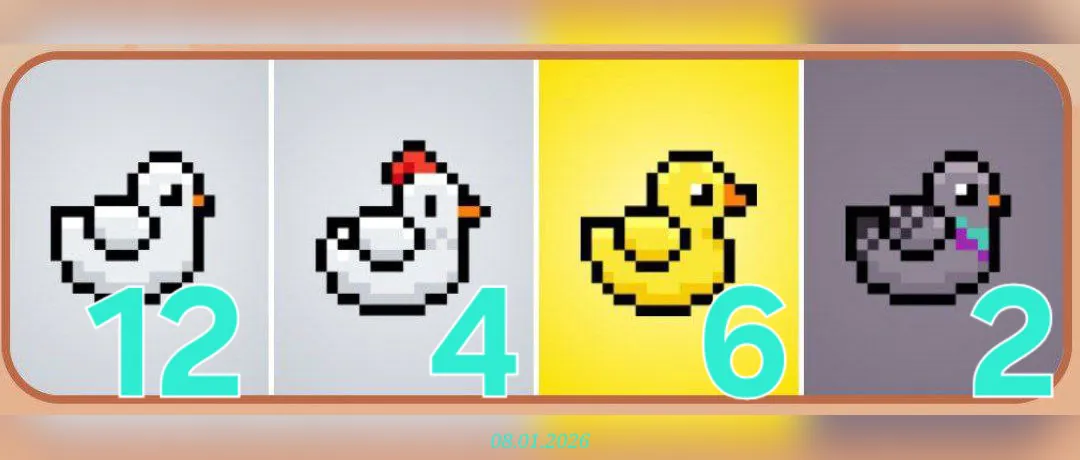 изображение для 🟢 #Bird Комбо 08.01