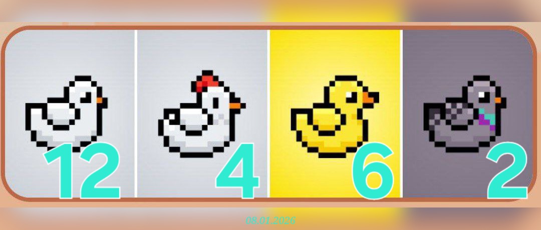 изображение для 🟢 #Bird Комбо 08.01