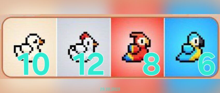 изображение для 🟢 #Bird Комбо 19.10