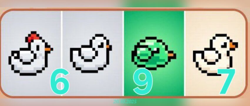 изображение для 🟢 #Bird Комбо 20.10
