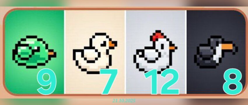 изображение для 🟢 #Bird Комбо 21.10
