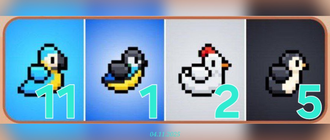 изображение для 🟢 #Bird Комбо 04.11