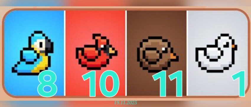 изображение для 🟢 #Bird Комбо 19.11