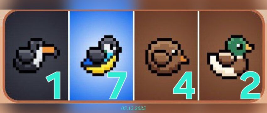 изображение для 🟢 #Bird Комбо 05.12