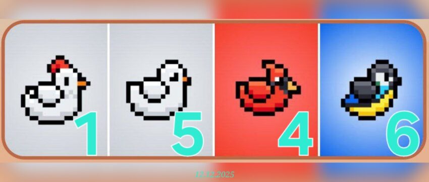 изображение для 🟢 #Bird Комбо 12.12