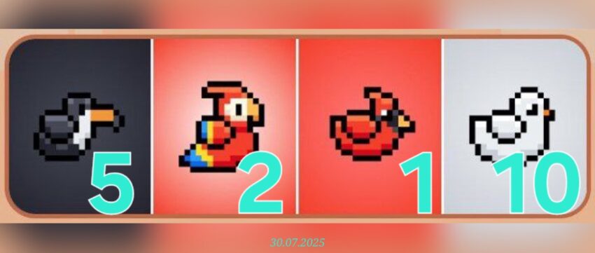 изображение для 🟢 #Bird Комбо 30.07