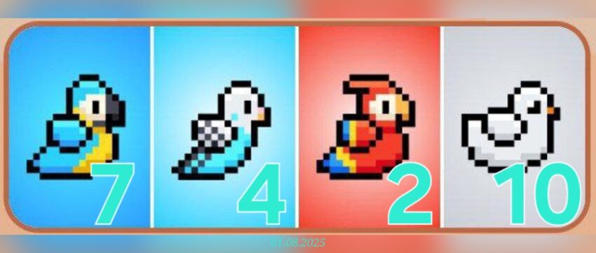 изображение для 🟢 #Bird Комбо 01.08