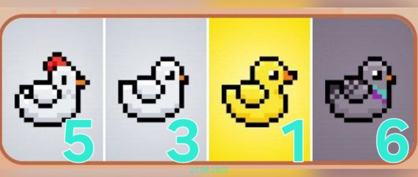 изображение для 🟢 #Bird Комбо 25.08
