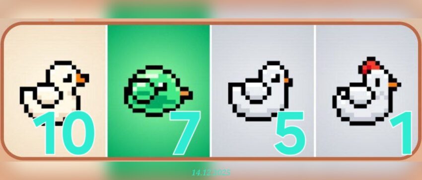 изображение для 🟢 #Bird Комбо 14.12