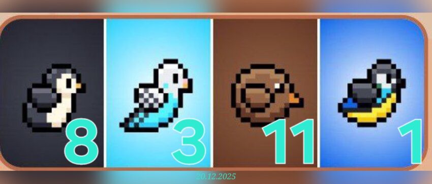 изображение для 🟢 #Bird Комбо 20.12