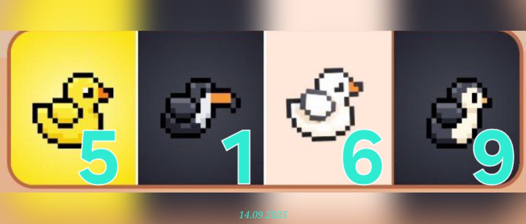 изображение для 🟢 #Bird Комбо 14.09