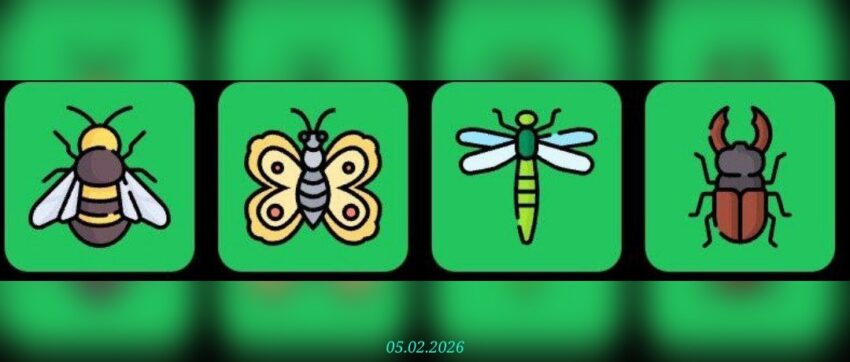 изображение для 🟢 #FliesHouse Комбо 05.02