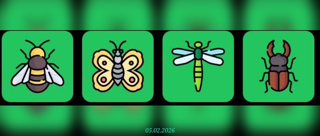 изображение для 🟢 #FliesHouse Комбо 05.02