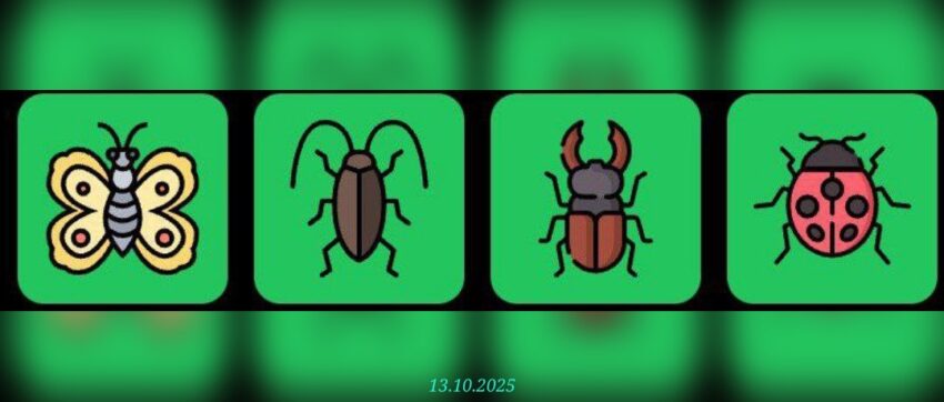 изображение для 🟢 #FliesHouse Комбо 13.10