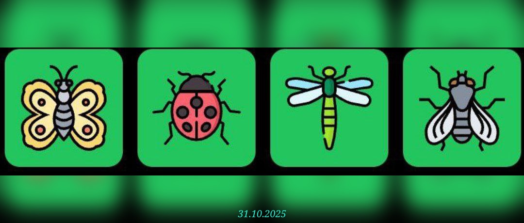 изображение для 🟢 #FliesHouse Комбо 31.10