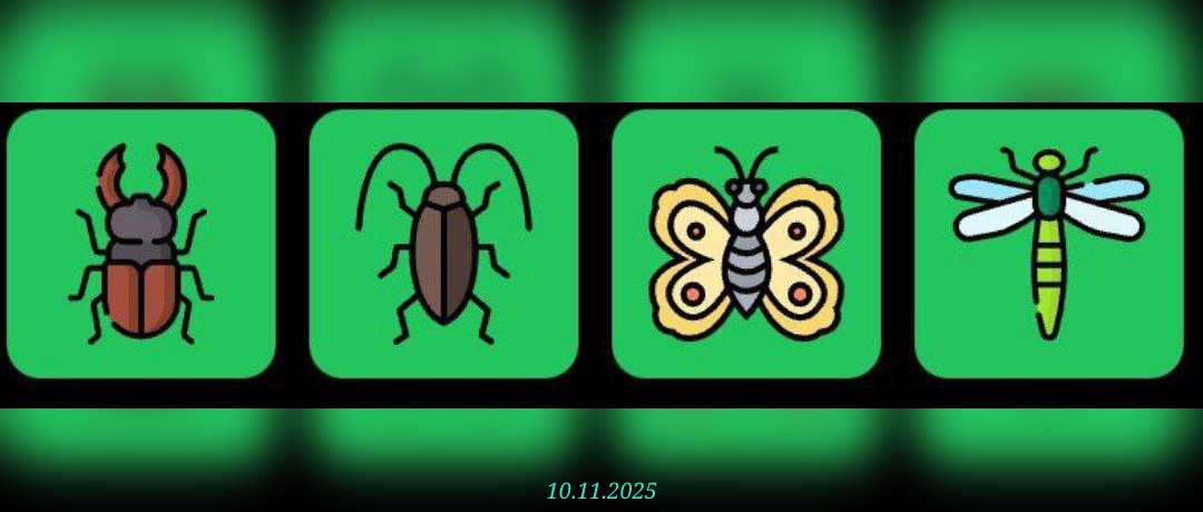 изображение для 🟢 #FliesHouse Комбо 10.11