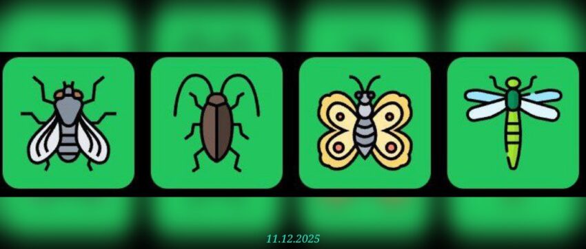 изображение для 🟢 #FliesHouse Комбо 11.12