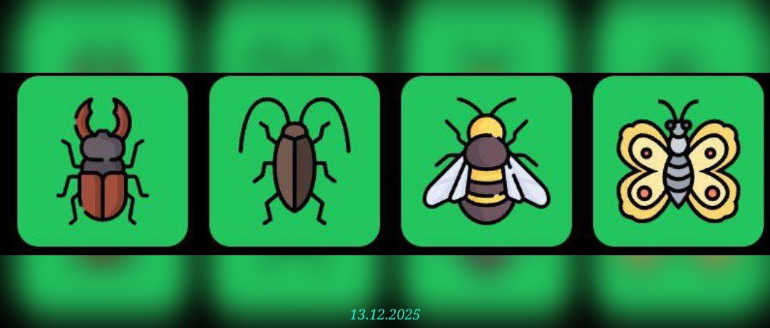 изображение для 🟢 #FliesHouse Комбо 13.12