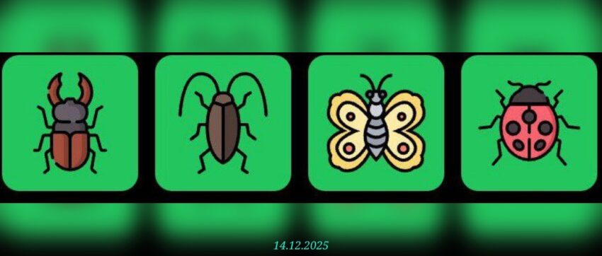 изображение для 🟢 #FliesHouse Комбо 14.12