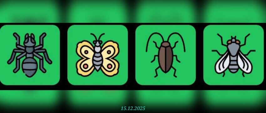 изображение для 🟢 #FliesHouse Комбо 15.12